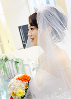 �u���C�_���t�H�g