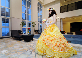 �u���C�_���t�H�g