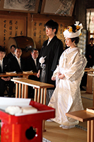 �u���C�_���t�H�g