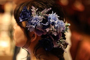 �u���C�_���t�H�g